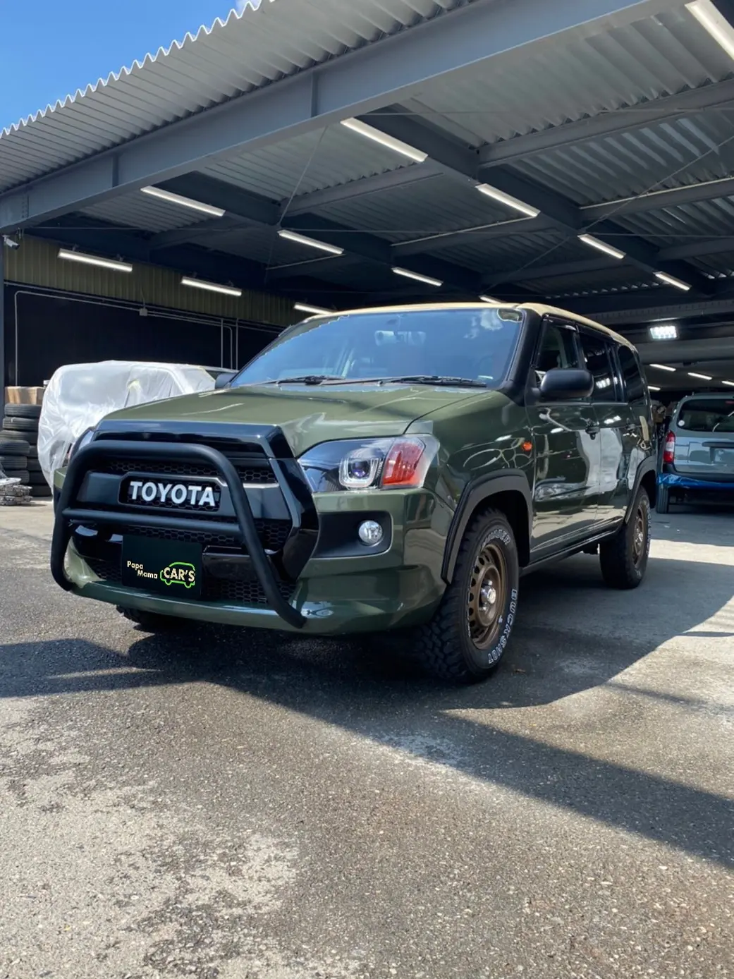 さやま様 埼玉）タイガーカワシマ 催芽機 FH-100A 変身とら吉 ファミリー